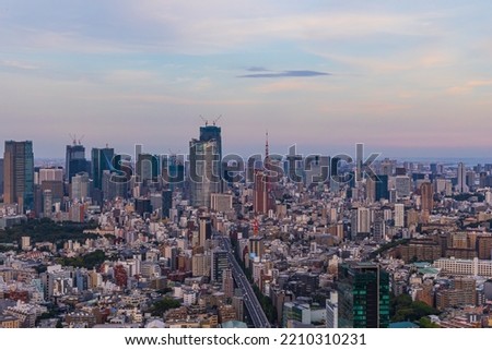 Tokyo cityscape seen from the observatory