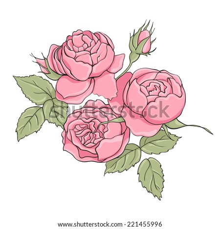 Vector peony on isolated background
