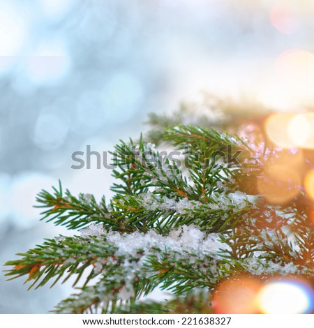 Christmas tree branches border over white