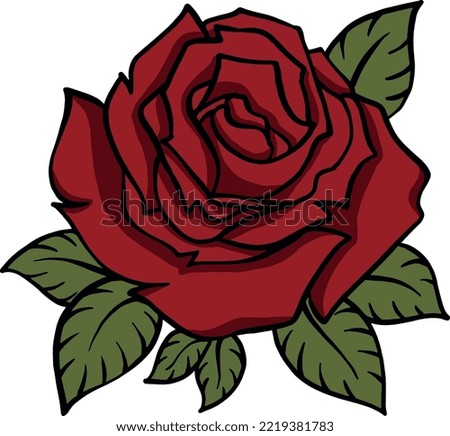 Closeup of red singlr rose vector or illlustration plants bouquet flowers nature drawing graphics 
