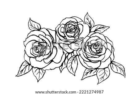 Rose sketch. Black outline on white background. Drawing vector graphics with floral pattern for design. Vector illustration.
