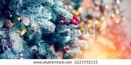Christmas red pine tree with background bokeh light, New Year sign Banner.