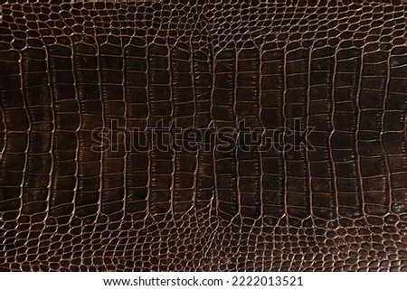 Very luxurious crocodile leather texture used in textile industry, original skin