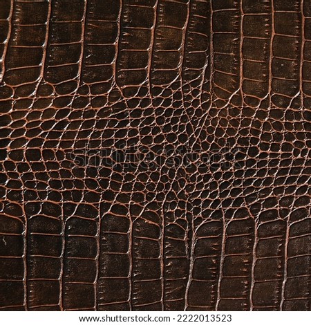 Very luxurious brown crocodile leather texture used in textile industry, original skin