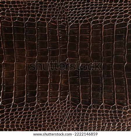 Very luxurious brown crocodile leather texture used in textile industry, original skin