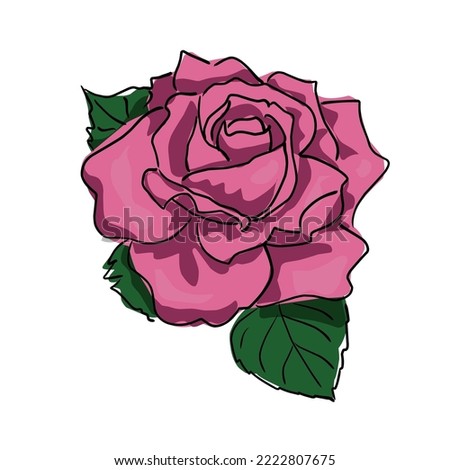 a large pink rose. large green leaves. mule sketch on a white background