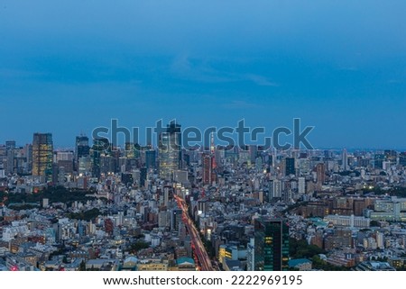 Tokyo cityscape seen from the observatory
