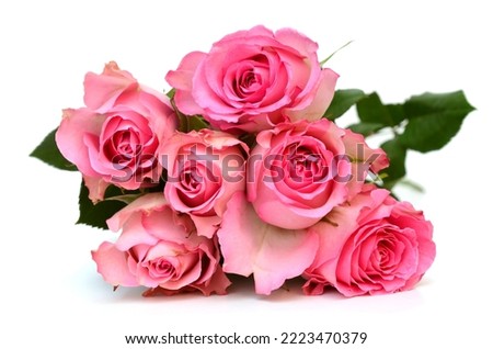A beauty pink rose bunch isolated white
