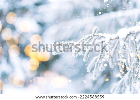 Snowy branches of Christmas trees with lights from garlands against falling snow.