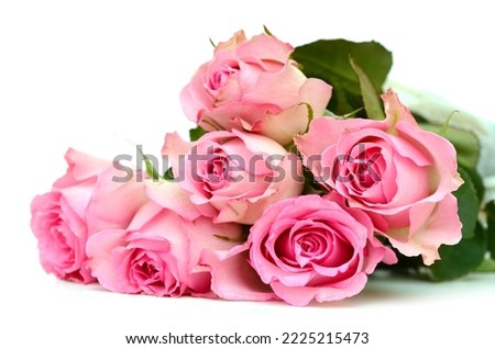 Pink rose bouquet on white