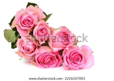 Half dozen of pink rose flowers. Isolated on white background