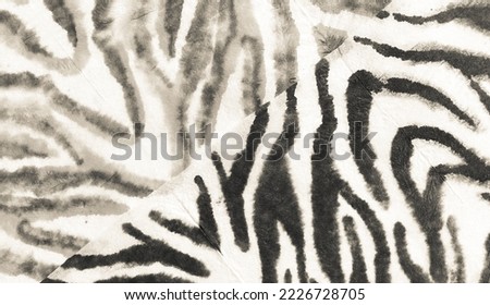 Grayscale Tiger Ethnic Art Painting. Tribal Abstract Background. Shibori Pattern. Tie Dyed Gray Zebra, Ethnic Art Pattern. Abstract Tribal Texture. Bright Stripe