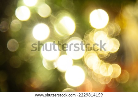 Christmas lights on fir tree