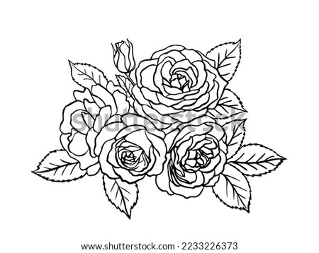 Rose sketch. Black outline on white background. Drawing vector graphics with floral pattern for design. Vector illustration.