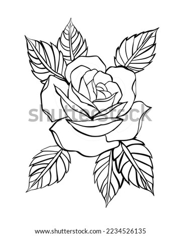 black and white roses outline illustration design