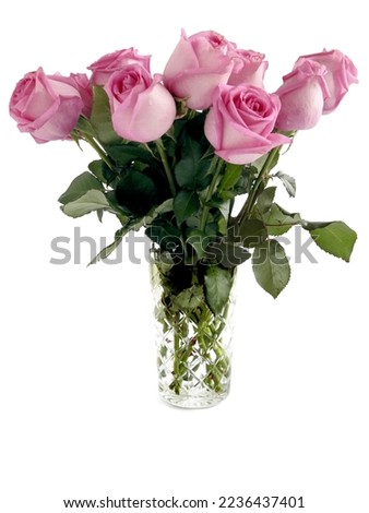 posy of pretty roses close up isolated