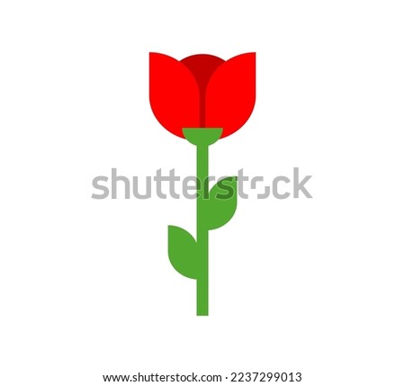 Tulip red flower isolated. Vector illustration