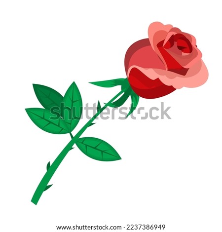 Vector image of a red rose. A design element for a website, applications. The concept of romance, gifts, attention.