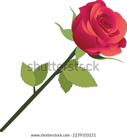 Pink Red Rose Vector Prop Illustration