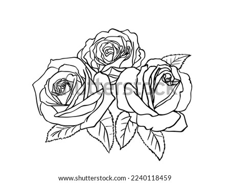 Sketch of a bouquet of roses. Black outline on a white background. Drawing vector graphics with floral pattern for design. Vector illustration.