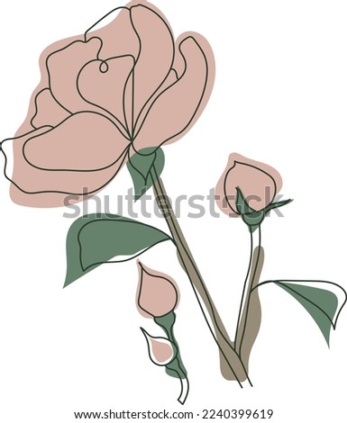 Flower vector one line art.  Minimalist contour drawing monoline. Continuous line artwork for banner, book design, web illustration. Roses flowers