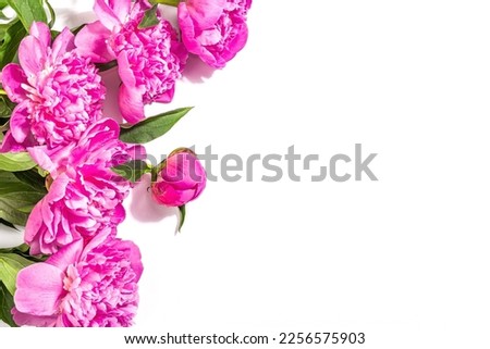 Fragrant pink peonies bouquet isolated on white background. Summer card, seasonal design, festive holiday concept, hard light, dark shadow, top view