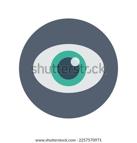 Eye, see icon, Flat vector illustration for web and mobile interface, EPS 10