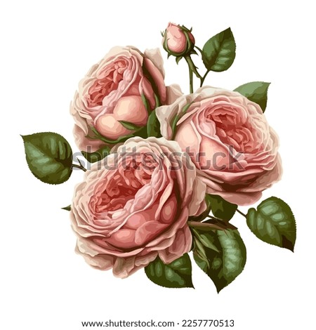 Bouquet of pink roses, isolate on a white background. Vector stock illustration eps10.
