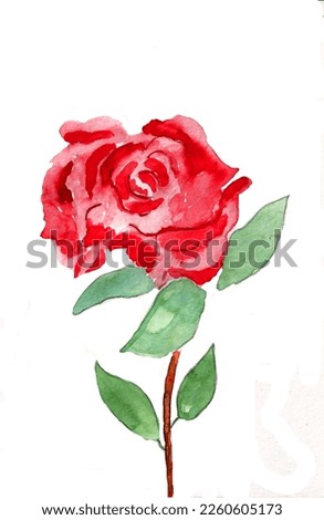 Hand drawn watercolor illustration Red Rose on white background. Colorful background for fabric, wallpaper, gift wrapping paper, scrapbooking. Design for children
