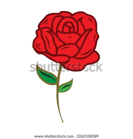Red roses hand drawn color set. Black line rose flowers isolated on white background. Vector colored elements illustration.Set of beautiful red roses for design isolated on white background.