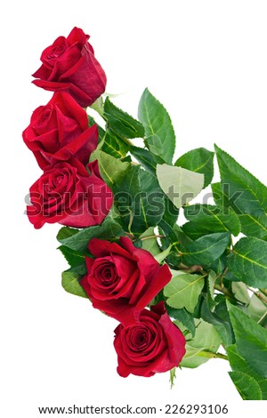 Flower Bouquet from Red Roses Isolated on White Background. Closeup.