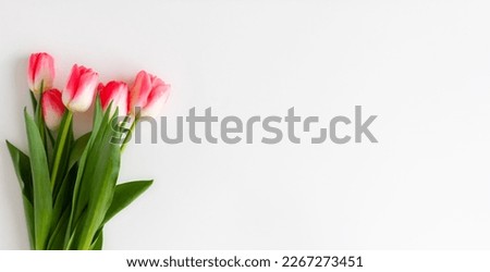 Pink tulip flowers bouquet on white background. Flat lay, top view. Selective focus. Shallow depth of field. Banner. Place for text