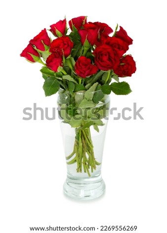 Bouquet of red scarlet roses in vase isolated on white background