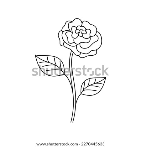 Isolated vector linear rose flower with leaves on white. Minimal modern and simple outline floral graphic
