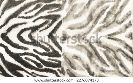 Black Zebra Ethnic Art Painting. Ornament Tribal Texture. Japanese Print. Grunge Design White Tiger, Ethnic Background Art. Tribal Texture Artwork. Light Stripe