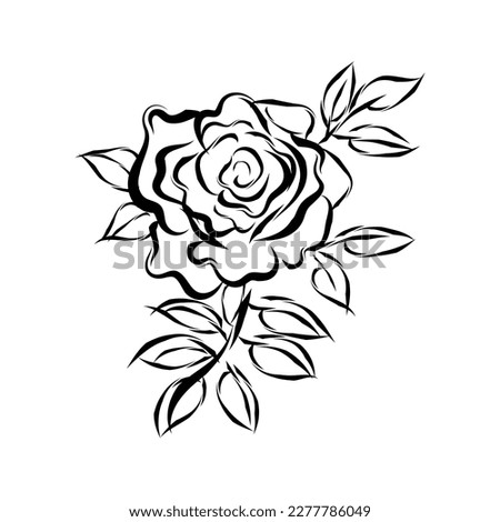 Abstract art of rose. Vector art for prints. Floral line art.