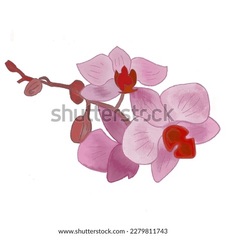 Pink purple orchid flower drawing for illustration, background, decoration