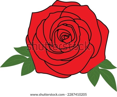 A beautiful red rose art vector