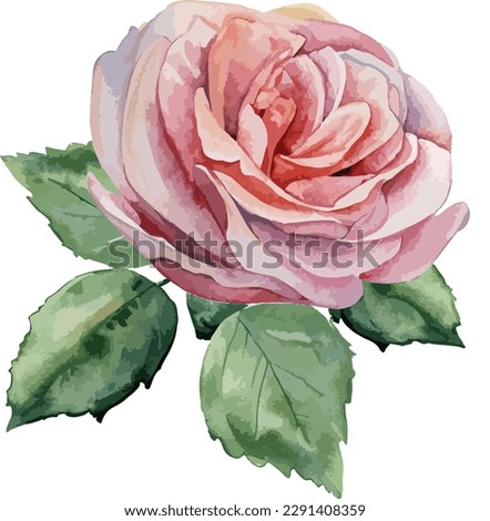 Watercolor rose floral bouquet isolated on white background
