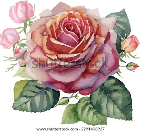 Watercolor rose floral bouquet isolated on white background, Watercolor rose

