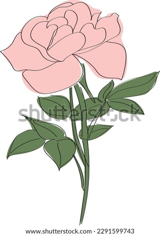 Pink rose with thin black outlines. High quality vector illustration.