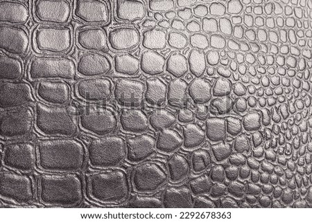 Natural black crocodile skin texture and background, closeup.