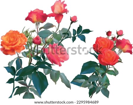 illustration with light red rose and buds isolated on white background