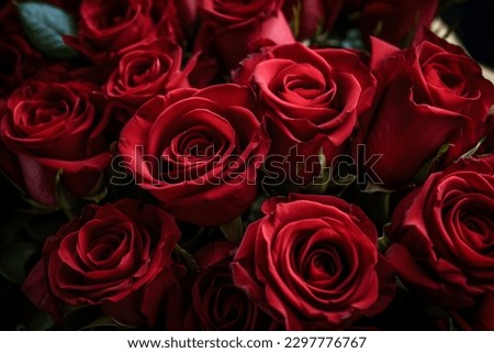 bunch of red roses set against a dark background, as if illuminated by a faint light amidst the darkness. 