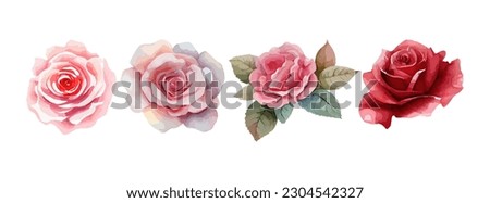 Rose flowers watercolor set. Collection of pink or red roses isolated on white background. Vector illustration