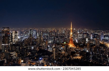  tourist attractions in the city park of Tokyo, Asia business concept image, panoramic modern cityscape building in Japan.    