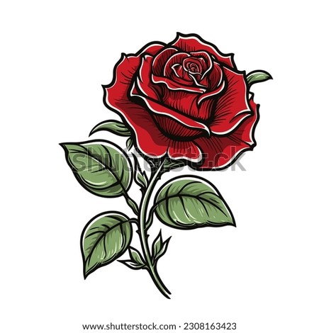 Red Rose Flower Illustration Vector 