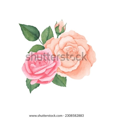 Watercolor pink peach pastel roses and green leaves. Hand drawn illustration for greeting cards or wedding invitations on isolated background