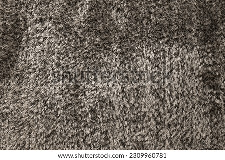 Fluffy old carpet with GREY black background texture, low view close up