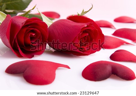 Two red rose with hearts isolated on white